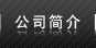 公司簡(jiǎn)介